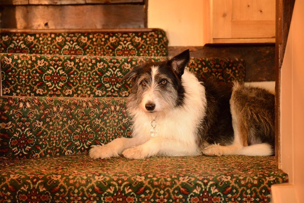 Badgers Hall Chipping Campden Eksteriør billede